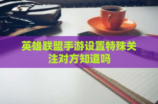 英雄联盟手游设置特殊关注对方知道吗